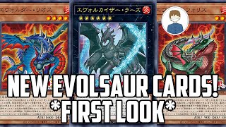 NEW EVOLSAUR SUPPORT FIRST LOOK DUELIST NEXUS YuGiOh [upl. by Adnale634]