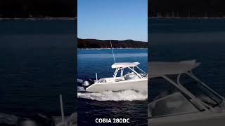 COBIA 280 DC  For Sale contact Boat Monster [upl. by Larine]