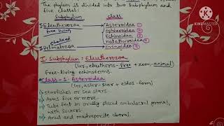 phylum Echinodermata classification  Hindi [upl. by Adriane]