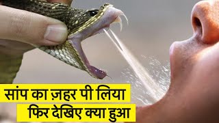 सांप का ज़हर पी लिया तो ये होगा  Why Can We Drink the Snakes Venom And Stay Alive [upl. by Navek896]