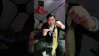 Overnight Ice Fishing Burbot  A Christmas Miracle [upl. by Enyar]