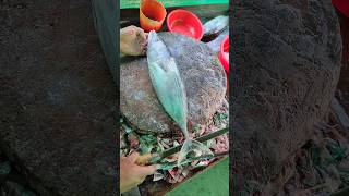 Wow Skipjack tuna fish cutting skills 🔥 shorts tunacutting [upl. by Eugatnom]