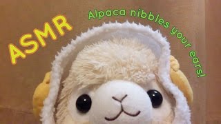 Alpaca ASMR Alpaca Nibbles Your Ears Mouth Sounds Binaural ASMR [upl. by Raymond]