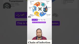 Chain of infection سلسلة العدوى وكيف تنتقل؟ microbiology microbreifs [upl. by Mendel]