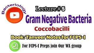 Bacteriology Lecture 5 Coccobacilli only for FCPS 1 [upl. by Aninotna544]