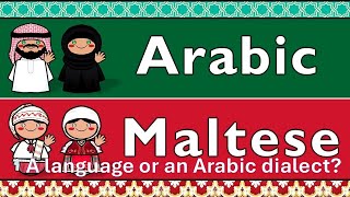 Is Maltese a Language or an Arabic dialect Episode 2 with Noel [upl. by Tarr]