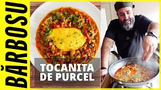 TOCANITA DE PURCEL [upl. by Aieken803]