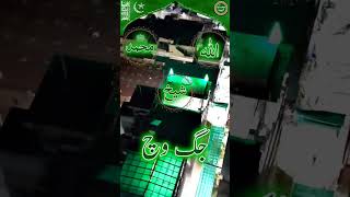 Naat Sharif idressia  381A Multan Sharif Sheikh M Amin  thedailydose0381trending viralvideo [upl. by Aihsoem]