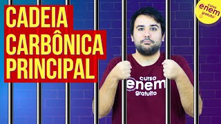 CADEIA CARBÔNICA PRINCIPAL  Resumo de Química Orgânica para o Enem [upl. by Ailgna]