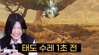 와일즈 신규몹 레 다우 태도 첫 수렵 몬스터헌터 와일즈 베타 [upl. by Benedikt]