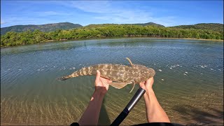 Cairns Land Based Fishing Crystal Clear Water [upl. by Esile]