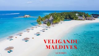 Beautiful Veligandu Island Resort in Maldives Romantic Getaway [upl. by Linet]