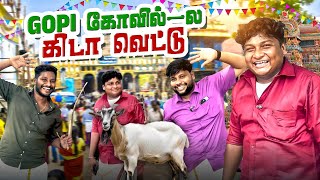 நாங்களே சுட்டு சாப்பிட்ட சுவரொட்டி  GOSU Vlogs [upl. by Capello]