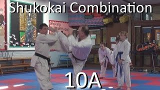 Shukokai combination 10A demo [upl. by Hassi789]