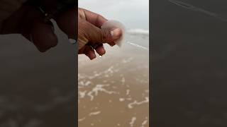 Vala vesam pavanbunga fishing trending viralvideos beach gulla likes fish palasa palasa [upl. by Akaya]