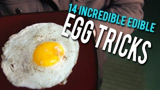 14 Incredible Edible EGG Tricks [upl. by Ellened]