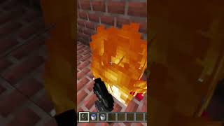 Burning A Endermite In Minecraft 24 [upl. by Evot264]