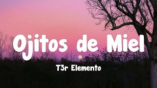 T3r Elemento  Ojitos de Miel Letra [upl. by Hudson462]