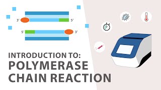 1 PCR Polymerase Chain Reaction Tutorial  An Introduction [upl. by Gusella]