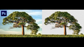 Two powerful cut out techniques in photoshop  Fast and Easy [upl. by Ellesor737]