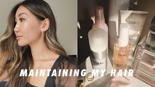 HOW I MAINTAIN BALAYAGEFOILYAGE HAIR  my color and cut tips products I use [upl. by Whiffen574]