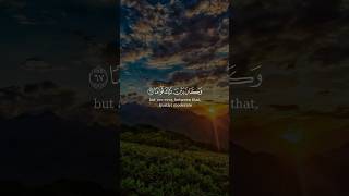 Al Furqan 6667 Saad al Ghamdi amazing Quran recitation with english translation [upl. by Einiar823]