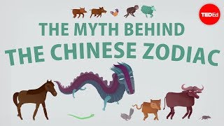 The myth behind the Chinese zodiac  Megan Campisi and PenPen Chen [upl. by Nairbo]