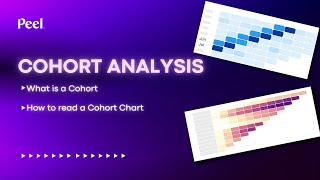 What is a Cohort How to Read a Cohort Analysis Chart [upl. by Aretha259]