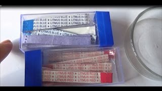 Testing acids and bases using litmus paper  Easy science experiment  Science Wizz [upl. by Yelahs754]