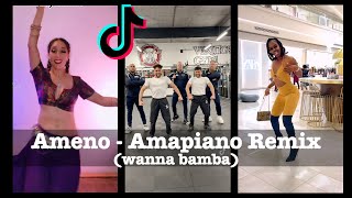 Ameno Amapiano Remix  Chill With the Big Boys  TikTok Challenge [upl. by Cherrita]