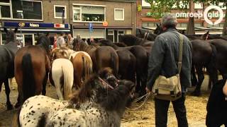 Paardenmarkt officieel erkend als Cultureel Erfgoed [upl. by Mcclain]