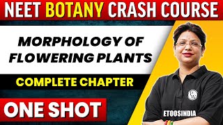 MORPHOLOGY OF FLOWERING PLANTS in 1 shot  All Concepts Tricks amp PYQs Covered  NEET  ETOOS India [upl. by Keene961]