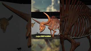 Bison latifrons  the Ancient LongHorned Bison jurassicworld fossil naturalhistory dinosaur [upl. by Veleda]