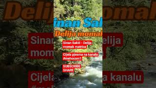 Sinan Sakić  Delija momak MATRICAshorts music cover instrumental matrices karaoke [upl. by Shriner]