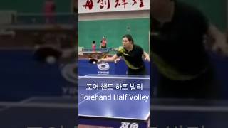 포어 핸드 하프 발리 Forehand Half Volley フォアハンドハーフバレー Tendangan Setengah Voli Forehand Vorhand [upl. by Ripley]