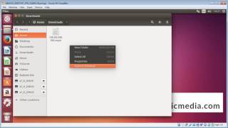 Connect VPN using OpenVPN on Ubuntu or Debian Linux [upl. by Yolanthe734]