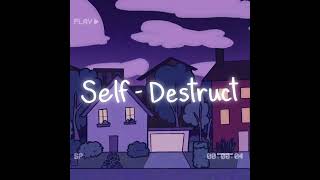 SelfDestruct  feat Erin Parkes amp MXNTIS Official Lyric Visual [upl. by Aierdna616]