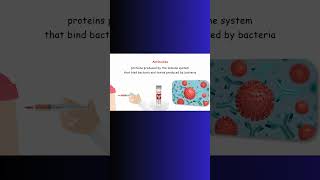 ANTIBIOTIC ANTIBODY antibioticresistance bacteria microbiology biochem physiology immune [upl. by Blodgett]