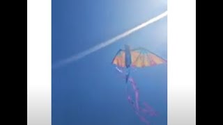 Chico Kite Day  My FAVORITE Clips of the Day [upl. by Tsugua]