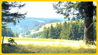 Westweg E8  Schwarzwald schwarzwald westweg wandern aussicht outdoorscape [upl. by Annawot336]