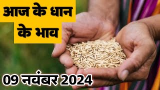 Dhan ka bhav 9 NOVEMBER 2024  Paddy rates today धान paddyrates2024 [upl. by Morell]