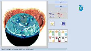 how to use 9D Bio Resonance Bioplasm NLS Full Body Health Analyzer [upl. by Ebneter]