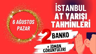 6 Ağustos 2023 Pazar İstanbul At Yarışı Tahminleri [upl. by Ynnek541]