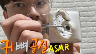 귀 뼈조각 맞추기 ASMR 귀뼈 골절  마루 [upl. by Aubyn612]