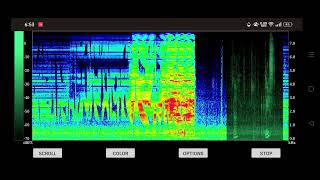 una cara en el espectrograma warning def1ne [upl. by Nuahsyar686]