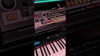 Exploring Roland Instruments  Drum Machines amp Synthesizers in Harajuku Japan ♫🎹 Johnny JAM🎸 4B [upl. by Wira]