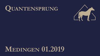 Quantensprung  Hengstschau 2019 [upl. by Frum2]