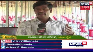 ಅನ್ನದಾತ  Broiler Chicken Farming In Karnataka  Feb 2 2019 [upl. by Aleydis]