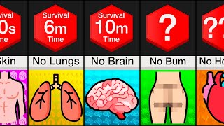 Comparison Survival Without Organs [upl. by Emmet]