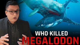 Why MEGALODON Got Extinct Does the Megalodon Still Exist [upl. by Vinia]